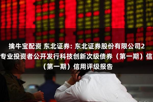 擒牛宝配资 东北证券: 东北证券股份有限公司2025年面向专业投资者公开发行科技创新次级债券（第一期）信用评级报告