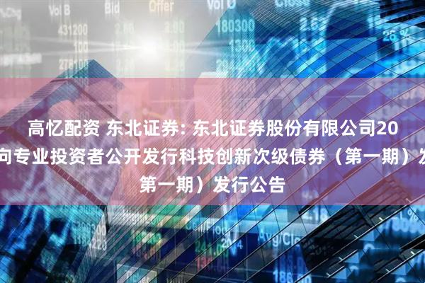 高忆配资 东北证券: 东北证券股份有限公司2025年面向专业投资者公开发行科技创新次级债券（第一期）发行公告
