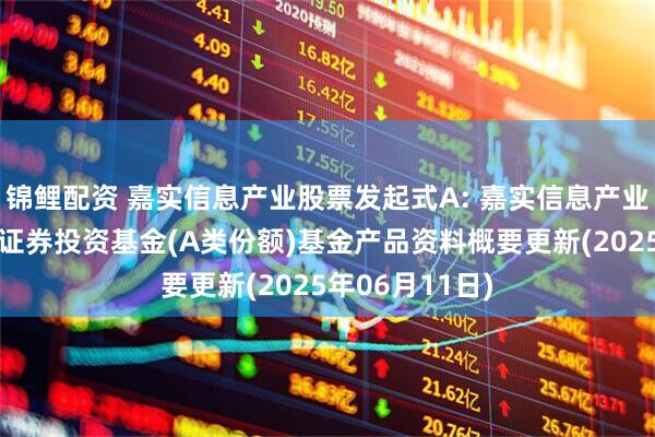锦鲤配资 嘉实信息产业股票发起式A: 嘉实信息产业股票型发起式证券投资基金(A类份额)基金产品资料概要更新(2025年06月11日)