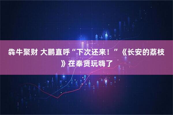 犇牛聚财 大鹏直呼“下次还来！”《长安的荔枝》在奉贤玩嗨了