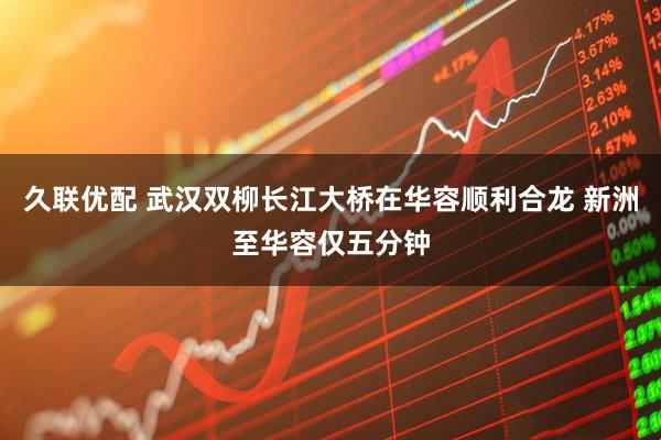 久联优配 武汉双柳长江大桥在华容顺利合龙 新洲至华容仅五分钟