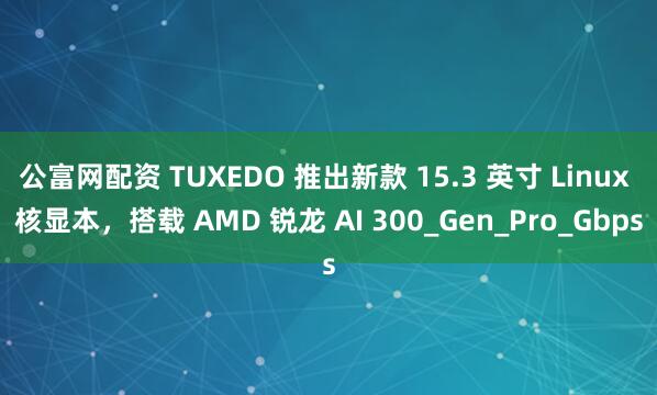 公富网配资 TUXEDO 推出新款 15.3 英寸 Linux 核显本，搭载 AMD 锐龙 AI 300_Gen_Pro_Gbps
