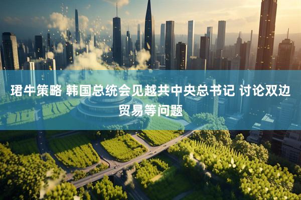 珺牛策略 韩国总统会见越共中央总书记 讨论双边贸易等问题