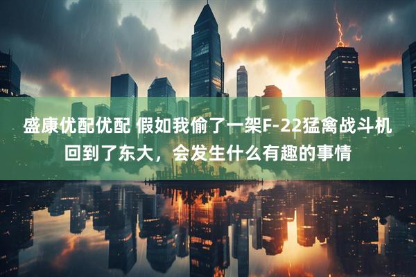 盛康优配优配 假如我偷了一架F-22猛禽战斗机回到了东大，会发生什么有趣的事情