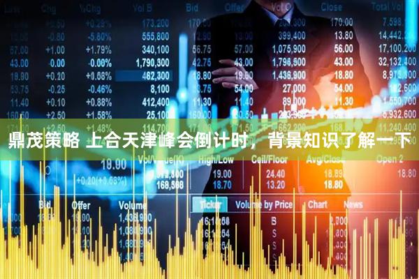 鼎茂策略 上合天津峰会倒计时，背景知识了解一下