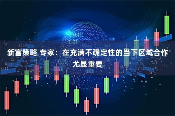 新富策略 专家：在充满不确定性的当下区域合作尤显重要